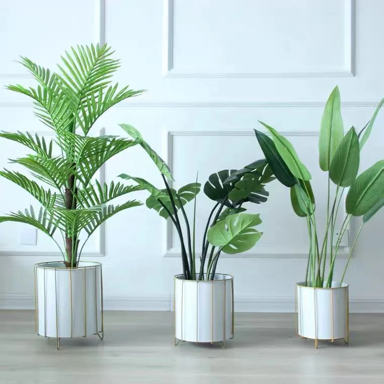 3pcs Flower pot - Image 2