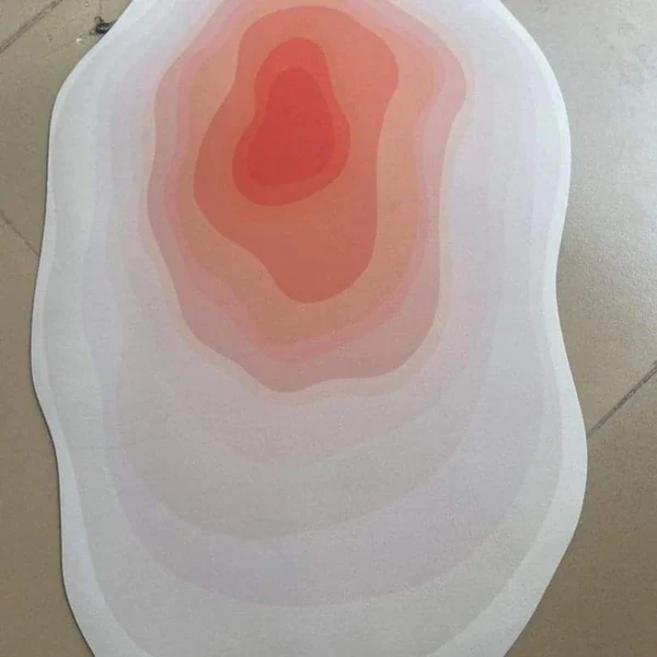 Absorbent Irregular Bathroom Mats - Image 8