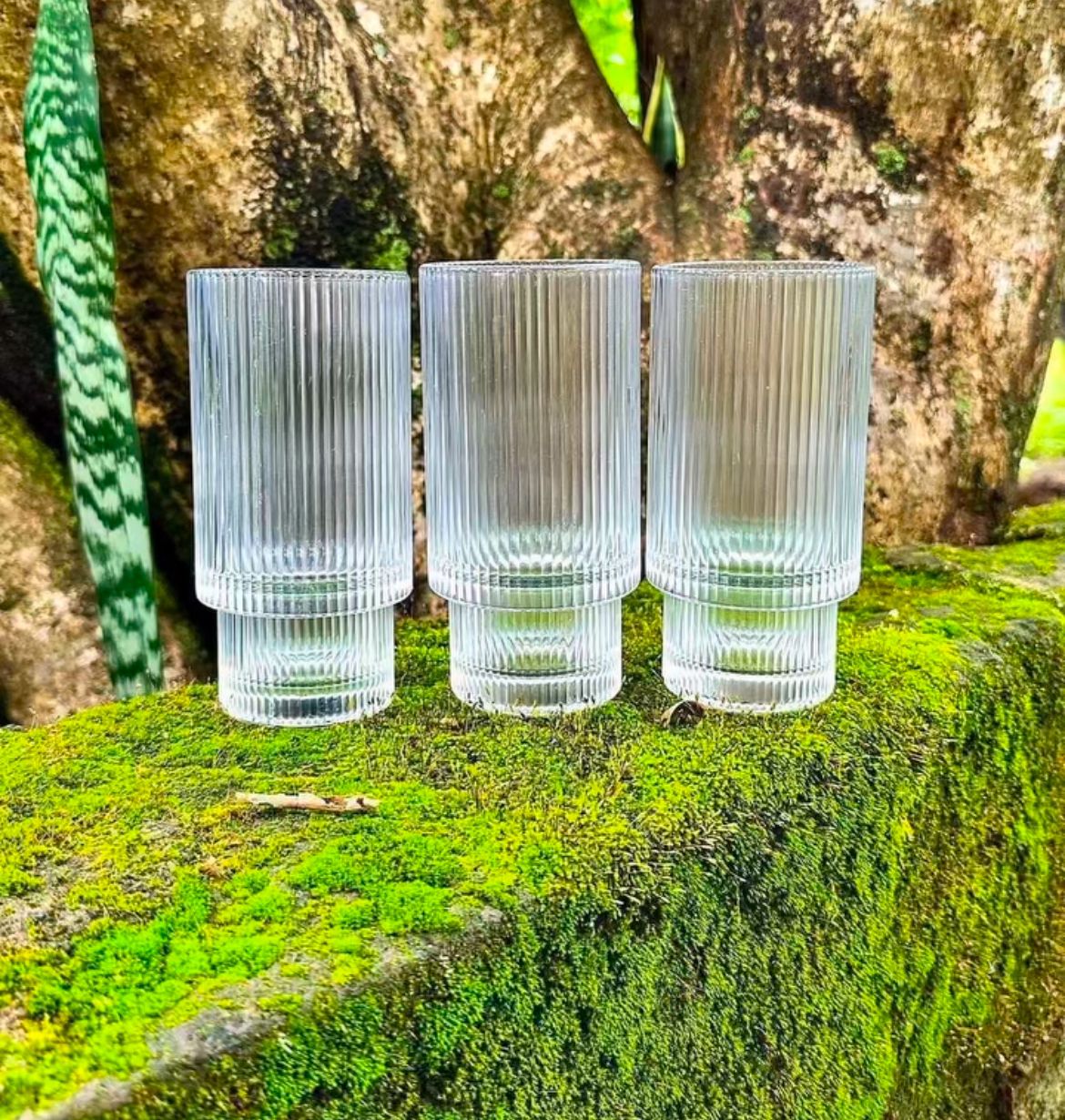 Fancy Aesthetic Highball crystal ribbed  glasses - Image 2