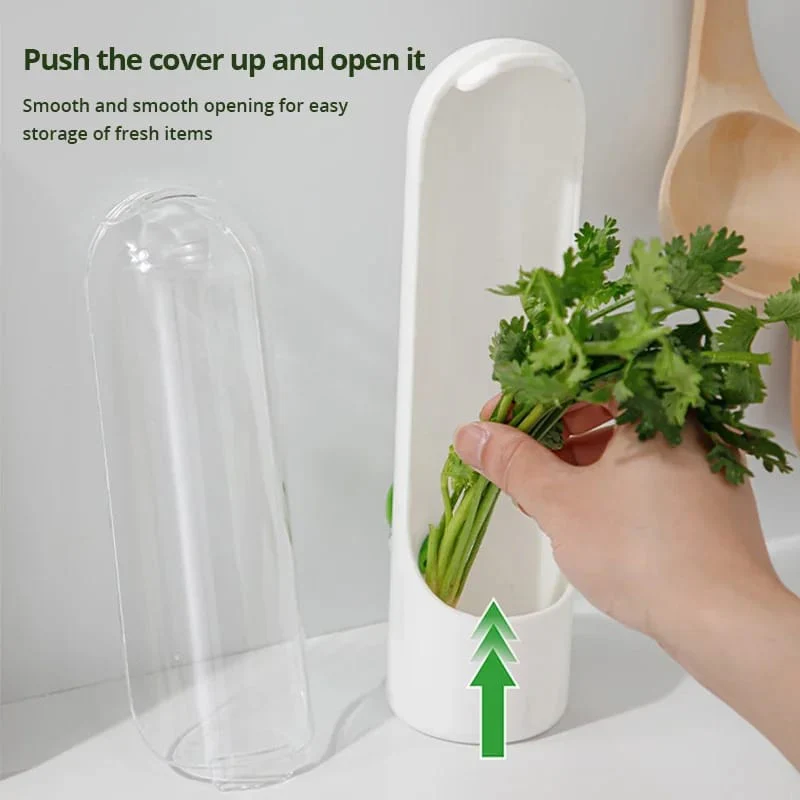 Fresh keeping herbs preservation bottle - Image 3
