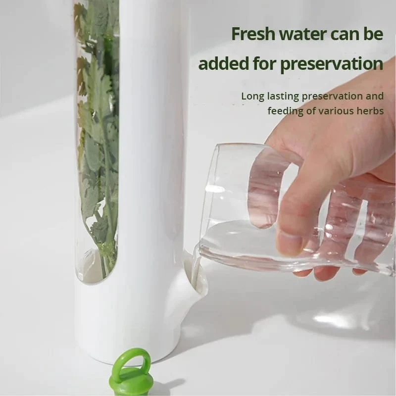 Herb and Vegetable Fresh-Keeping Cup kitchen Storage - Image 5