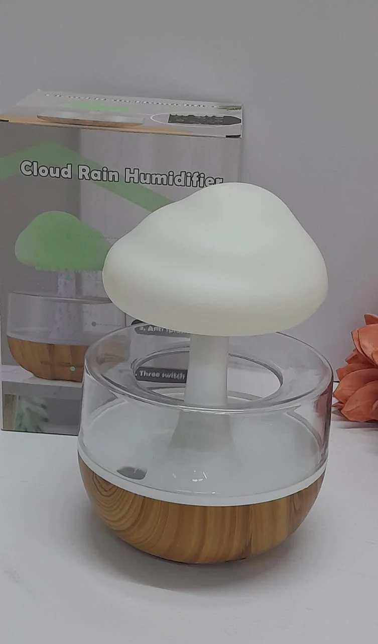 Rain Cloud humidifier - Image 2