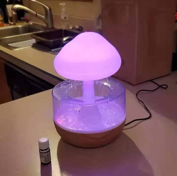 Rain Cloud humidifier - Image 3