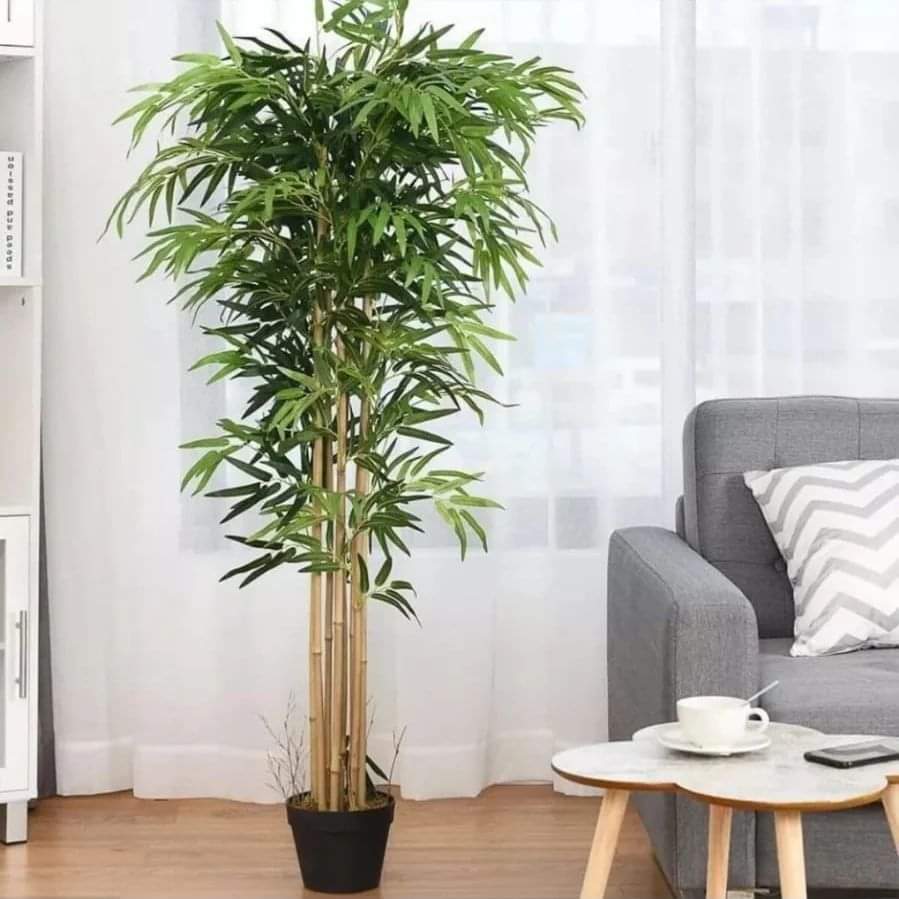 Real touch bamboo plant - Image 3