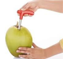 Ritu stainless steel coconut driller - Image 2